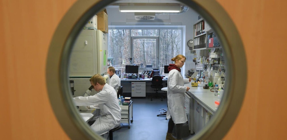 Corona-Virus: Experten an der Universität im deutschen Marburg bei der Arbeit.